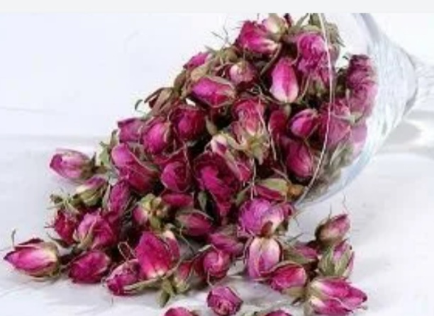 فروش ارزان غنچه گل محمدی + فروش فوق العاده