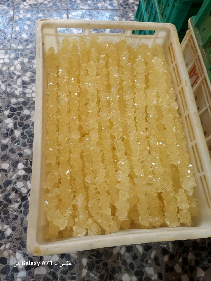 تصویر 4 از خرید عمده نبات شاخه ای شهرزاد