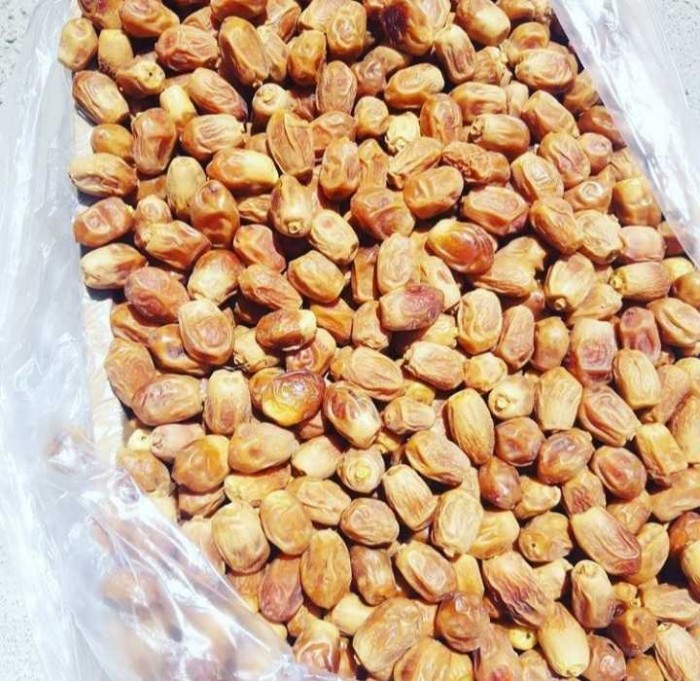 تصویر 1 از خرید انواع خرما زاهدی بسته بندی درجه یک ایرانی + تازه برداشت