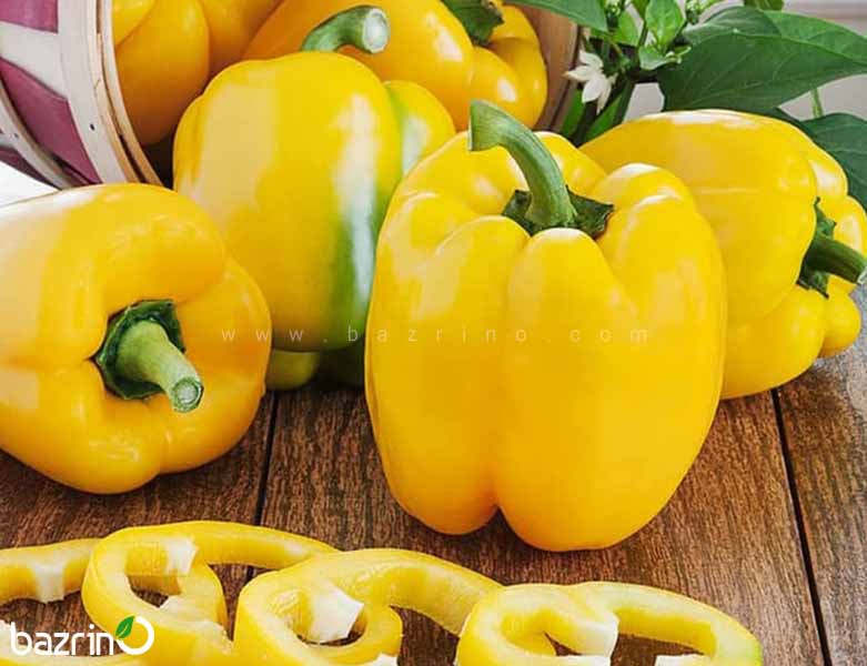 تصویر 2 از قیمت خرید فلفل دلمه زرد با فروش عمده