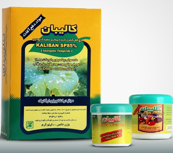 تصویر 1 از قیمت خرید قارچ کش ارگانیک کالیبان عمده به صرفه