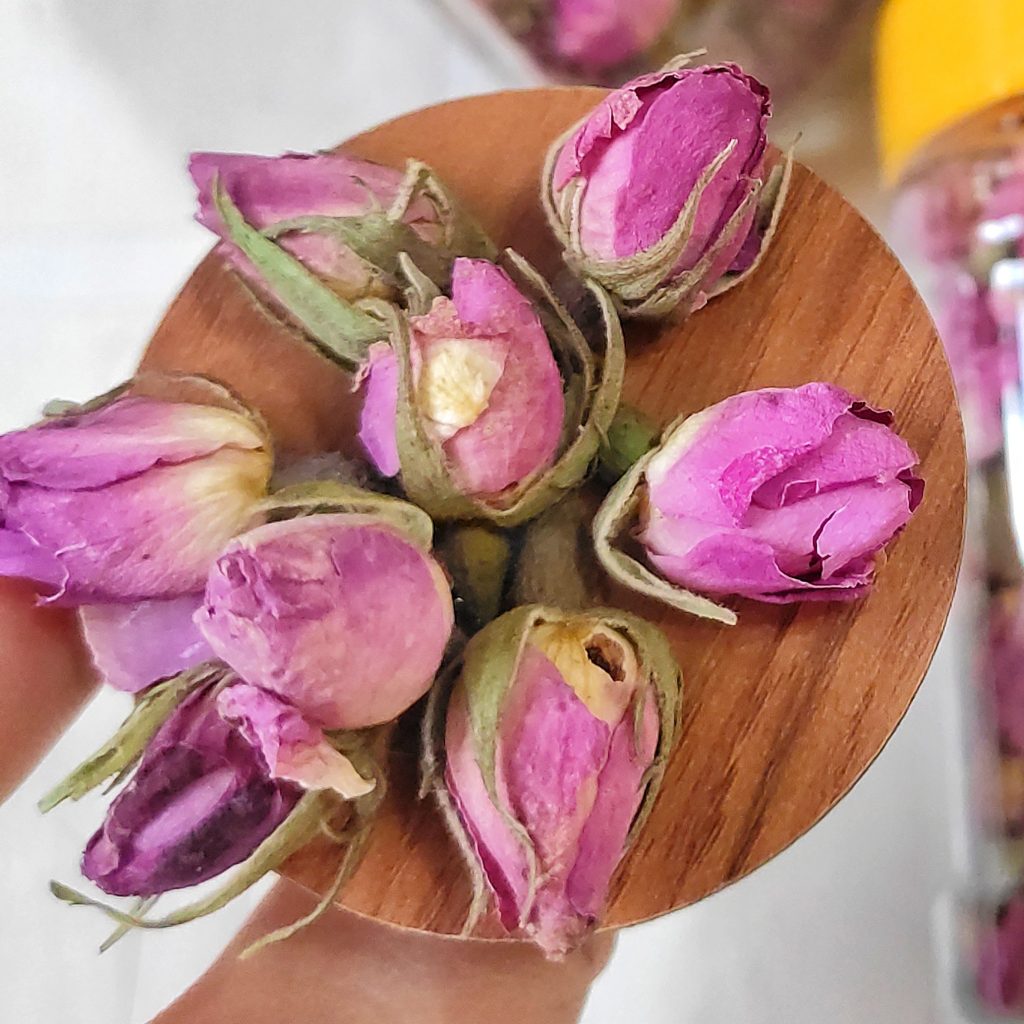 غنچه گل محمدی به صورت عمده + خرید