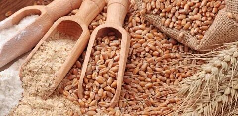 تصویر 5 از قیمت روز گلوتن گندم + پخش عمده