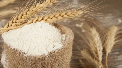 تصویر 4 از قیمت و نحوه خرید + گلوتن گندم صادراتی