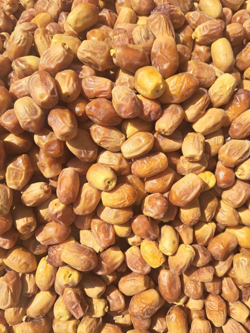 تصویر 1 از فروش خرما زاهدی سوپر لوکس + فروش آنلاین
