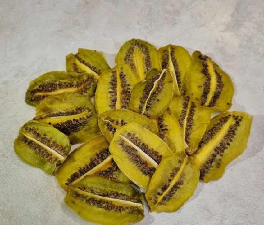 تصویر 1 از خرید کیوی خشک شده