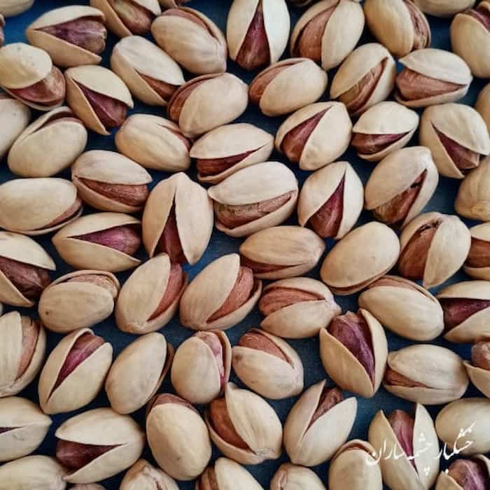 تصویر 1 از خرید انواع پسته فندقی خراسان بصورت عمده + با کیفیت عالی