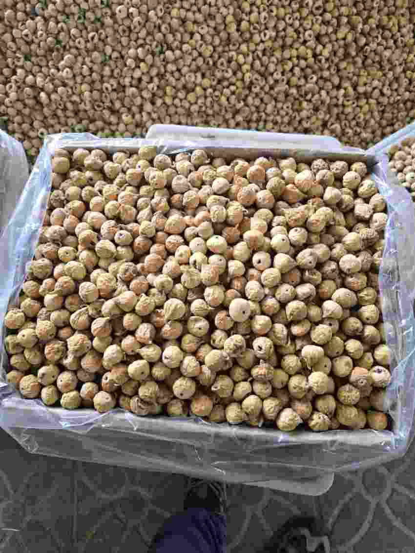 تصویر 3 از قیمت روز انجیر خشک درجه یک استهبان + قیمت فروش