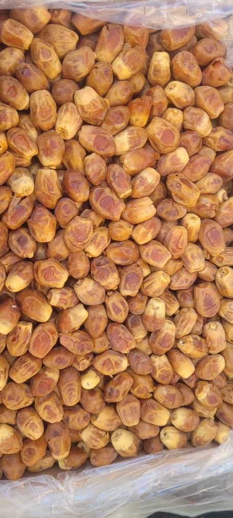 تصویر 2 از خرما زاهدی شیراز با طعم غنی