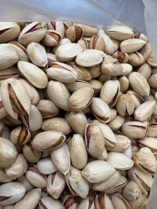 پسته احمدآقایی + خرید استسنائی