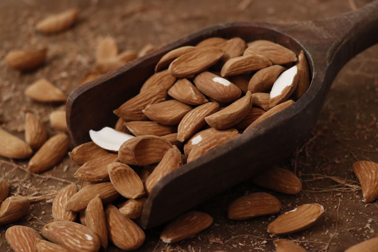 قیمت فروش عمده بادام مامایی سایز a5 + فروش عمده