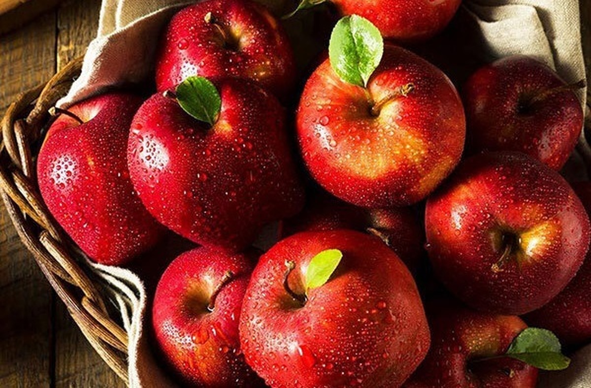 خرید سیب گالا ارگانیگ مشهد + خرید عمده