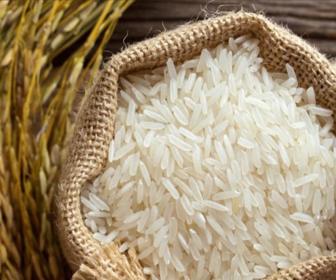 خرید برنج طارم هاشمی اعلا و مرغوب + خرید با قیمت ویژه