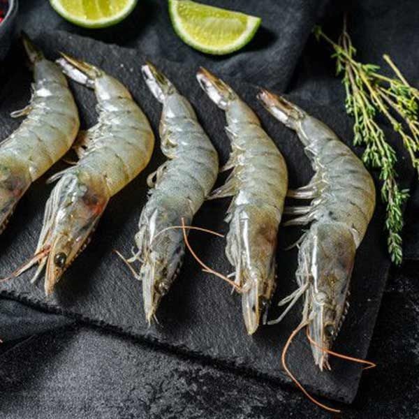 تصویر 1 از میگوی بوشهر تازه و اصیل + قیمت به صرفه