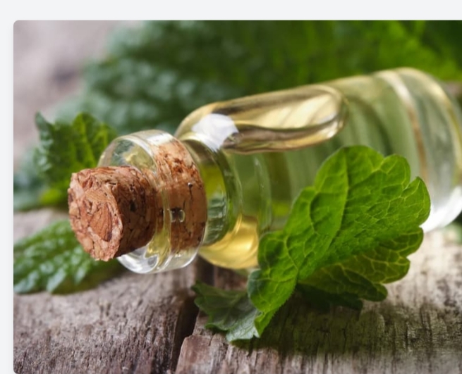 تصویر 1 از عرق نعنای ویژه + قیمت استثنایی