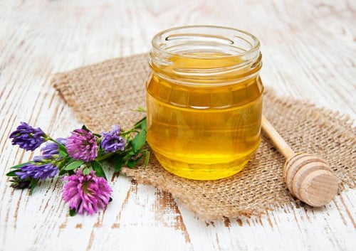 فروش عسل گون گز اعلا شیشه 650 گرمی + فروش عمده