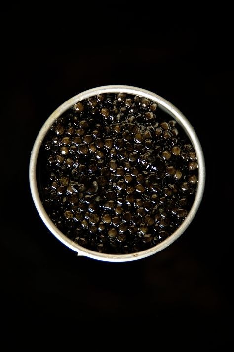تصویر 4 از خاویار گلستان