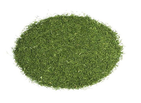 تصویر 5 از خرید عمده شوید خشک سرگل + تحویل فوری