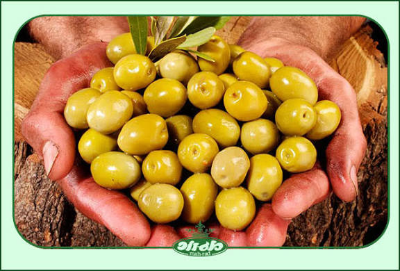 تصویر 2 از قیمت پخش مستقیم + زیتون ویژه کامروز + ۷۵۰ گرمی