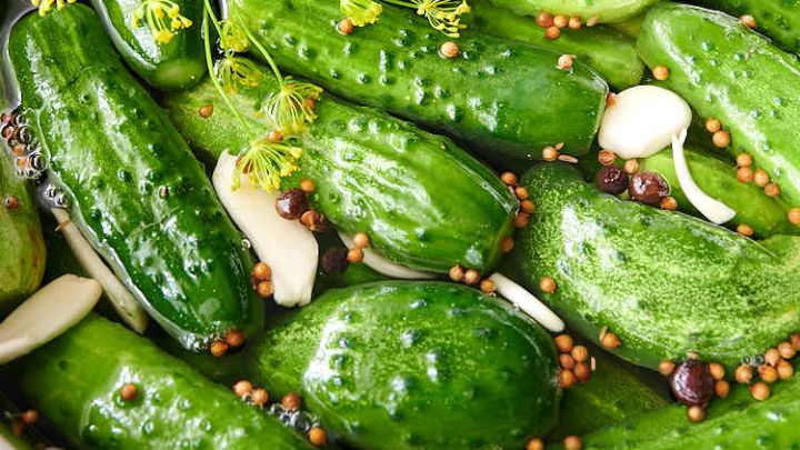 تصویر 2 از نرخ روز خیارشور عمده + خرید مطمئن