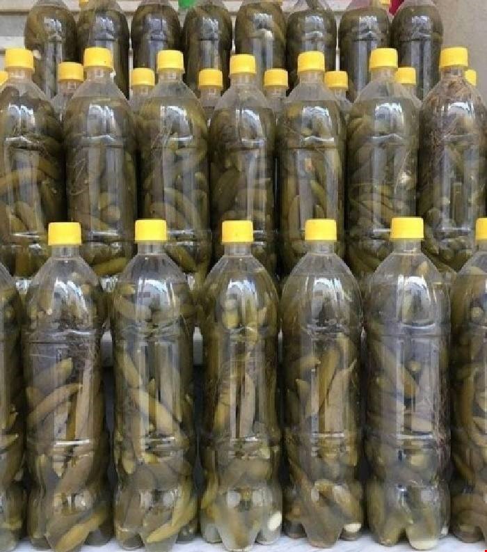 تصویر 2 از قیمت خیارشور حلب مستقیم از تولید کننده