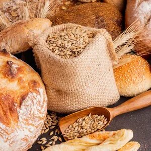 فروش عمده گلوتن گندم خالص