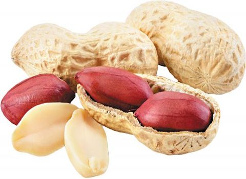 تصویر 4 از خشکبار صادراتی رفسنجان + خرید باور نکردنی