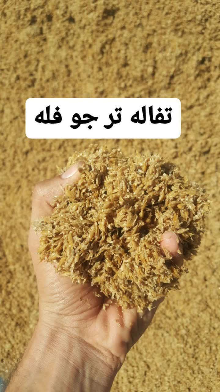 قیمت فروش تفاله جو برای دام