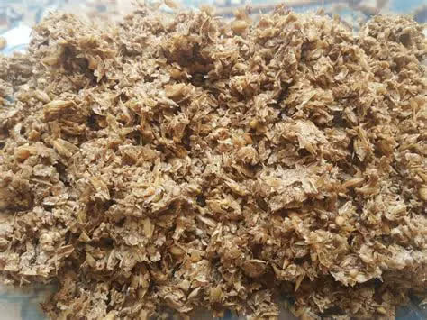 تصویر 1 از قیمت فروش تفاله جو برای دام