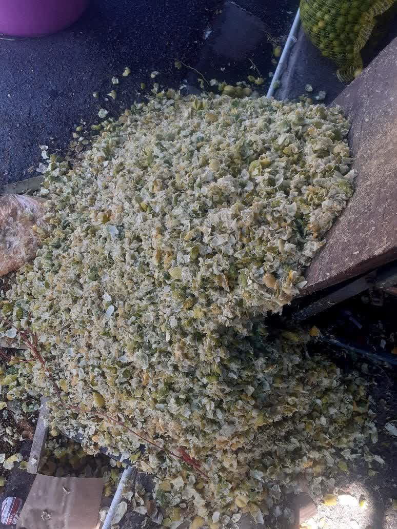 تصویر 2 از قیمت فروش عمده تفاله لیمو برای دام