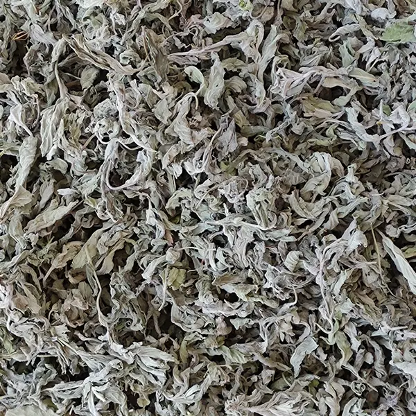 پونه خشک عطر بی نظیر طبیعت با قیمت ویژه