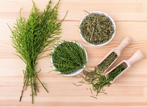 فروش دم اسبی خشک گوهر طبیعت با قیمت استثنایی