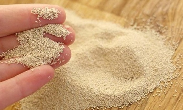 تصویر 1 از خرید ویژه خمیرمایه + ارسال  فوری