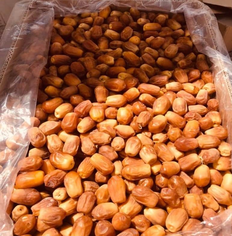 تصویر 4 از خرما زاهدی کارتونی عرضه عمده با شرایط ویژه