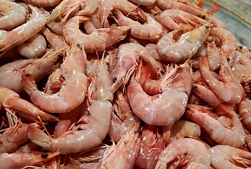تصویر 2 از قیمت خرید آنلاین میگو صورتی درشت دریایی پاک شده