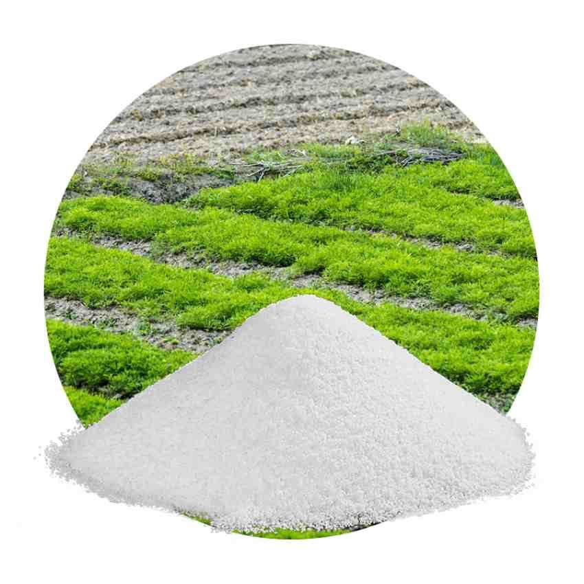 تصویر 1 از فروش خاک ژله‌ای مرغوب کیفیتی بی‌نظیر برای زمین شما
