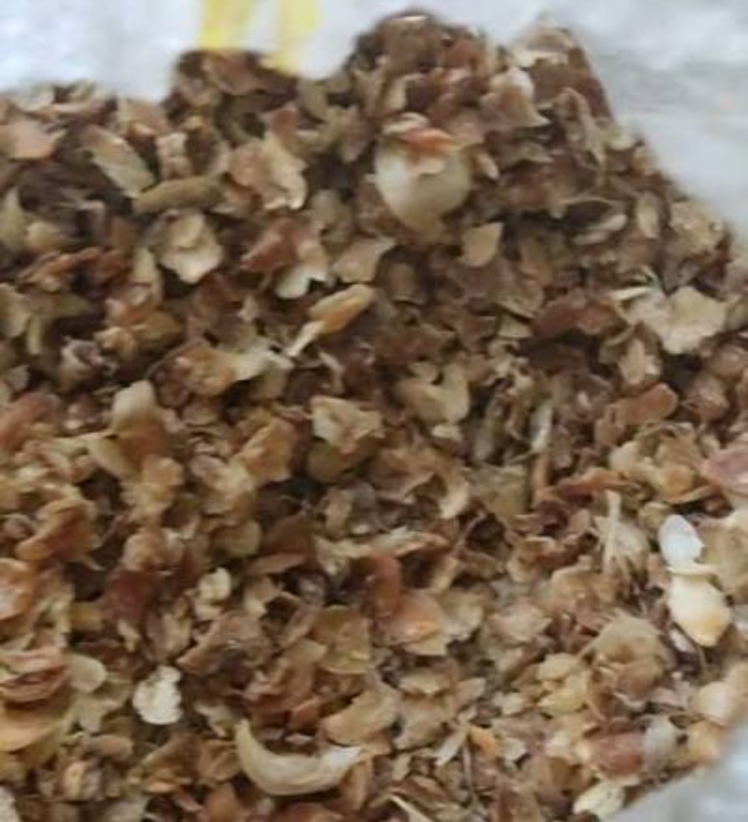 تصویر 1 از فروش پودر سیر خلال با پوست با کیفیت و عالی