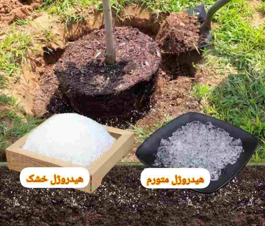 تصویر 3 از خرید هیدروژل کشاورزی + تکنولوژی نوین در خدمت شما