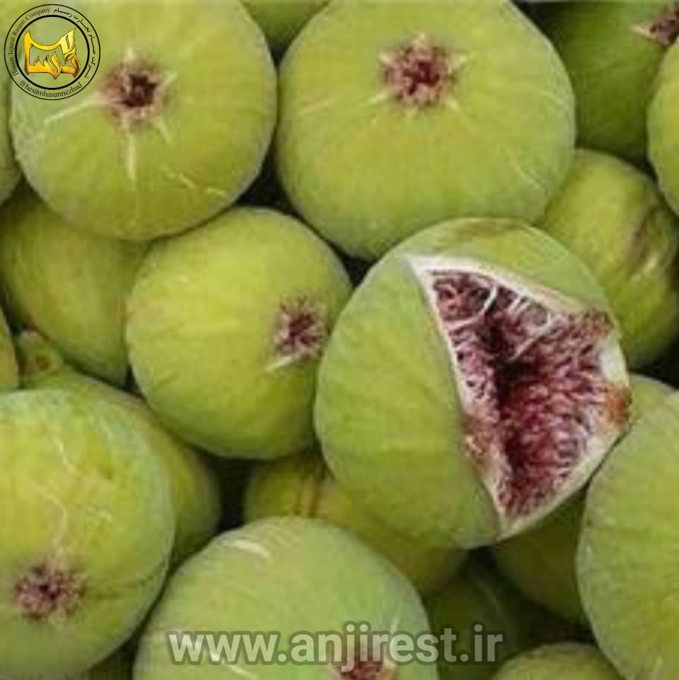 تصویر 4 از قیمت انجیر سفید طارم شهریور ۱۴۰۴ + قیمت فروش