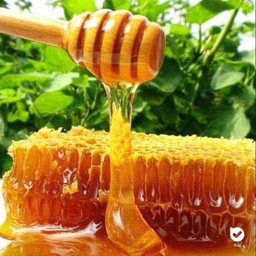 تصویر 1 از عسل زنجیر خار با کیفیت