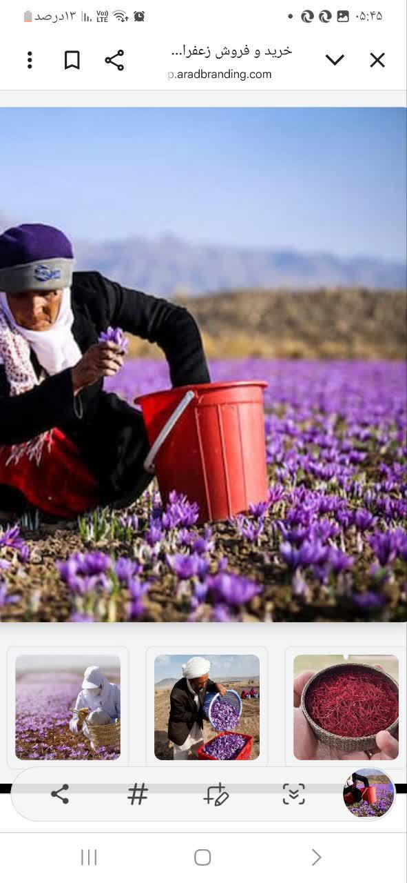 تصویر 4 از قیمت زعفران صادراتی بهسود + فروش استثنایی