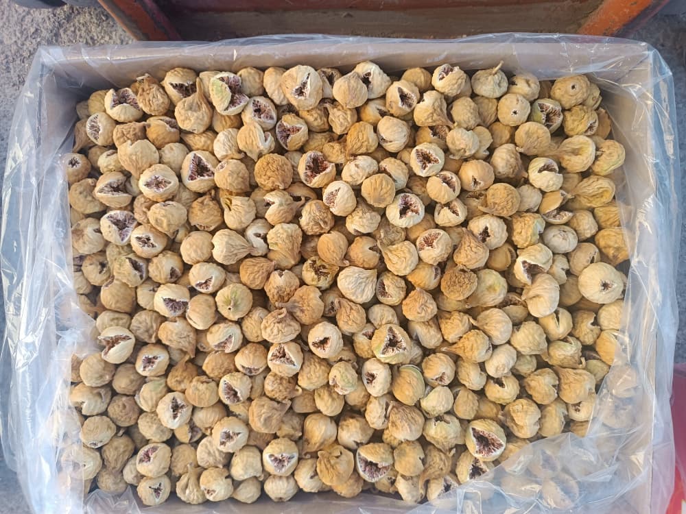 تصویر 1 از خریدانجیرمتوسط قهوه ای (AA) + باکیفیت
