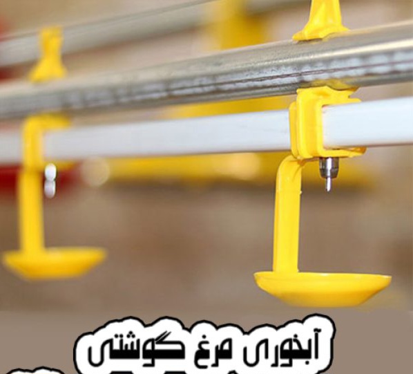 تصویر 2 از قیمت خرید اینترنتی آبخوری مرغ تبریز