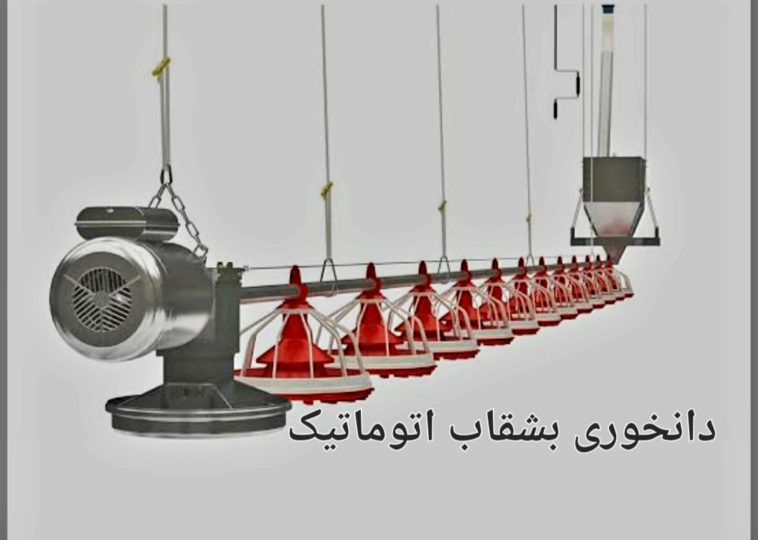 تصویر 1 از قیمت خرید اینترنتی دانخوری بشقاب اتوماتیک