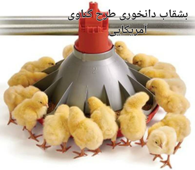 تصویر 1 از قیمت خرید اینترنتی بشقاب دانخوری طرح کناوی آمریکایی