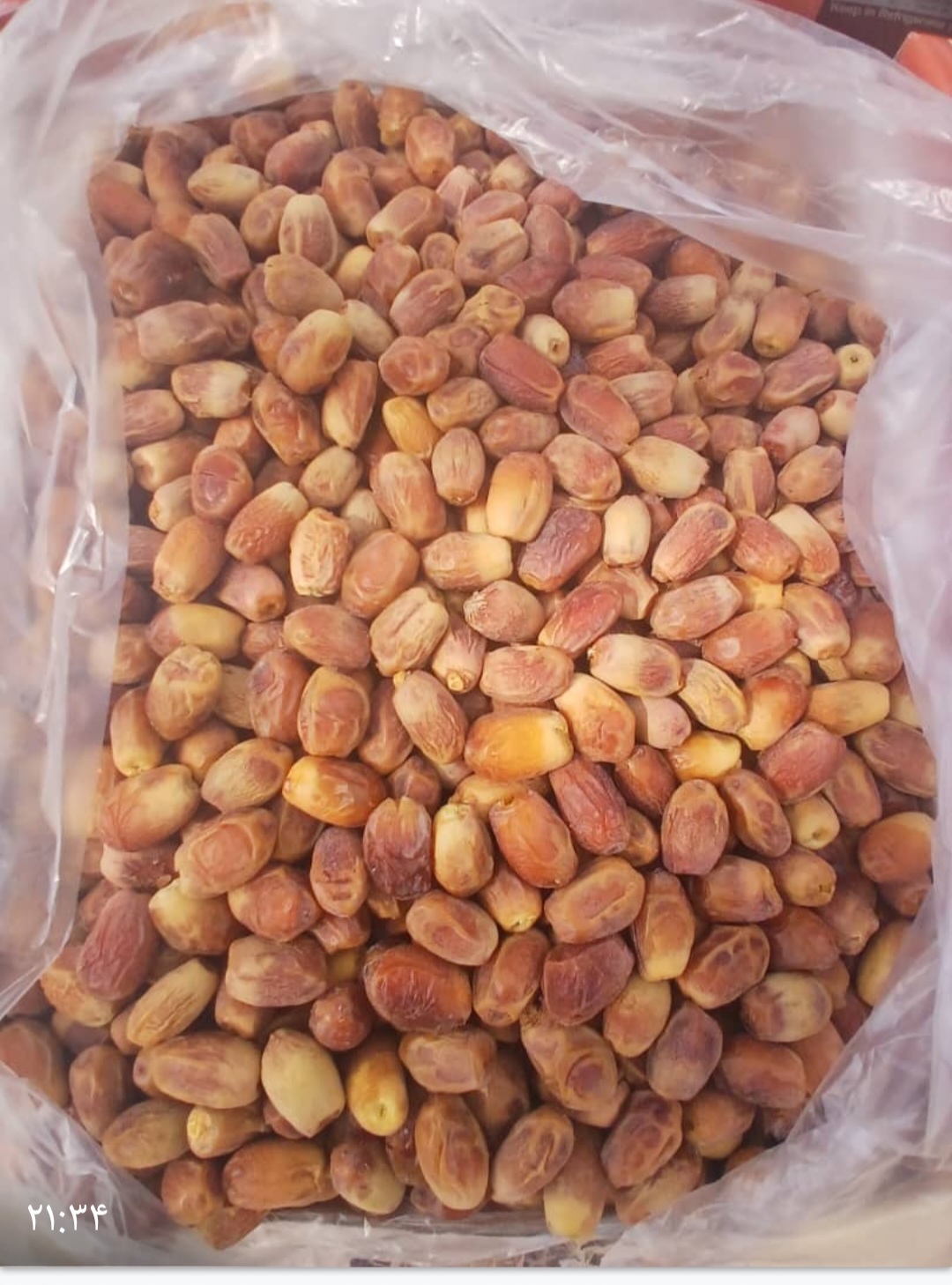 فروش عمده خرمای زاهدی