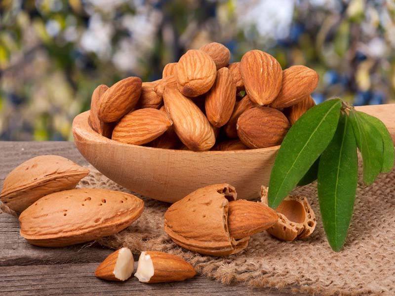 بادام درختی مامایی با کیفیت صادراتی