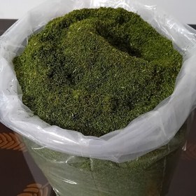تصویر 1 از خرید آسان شوید خشک پفکی + قیمت به صرفه
