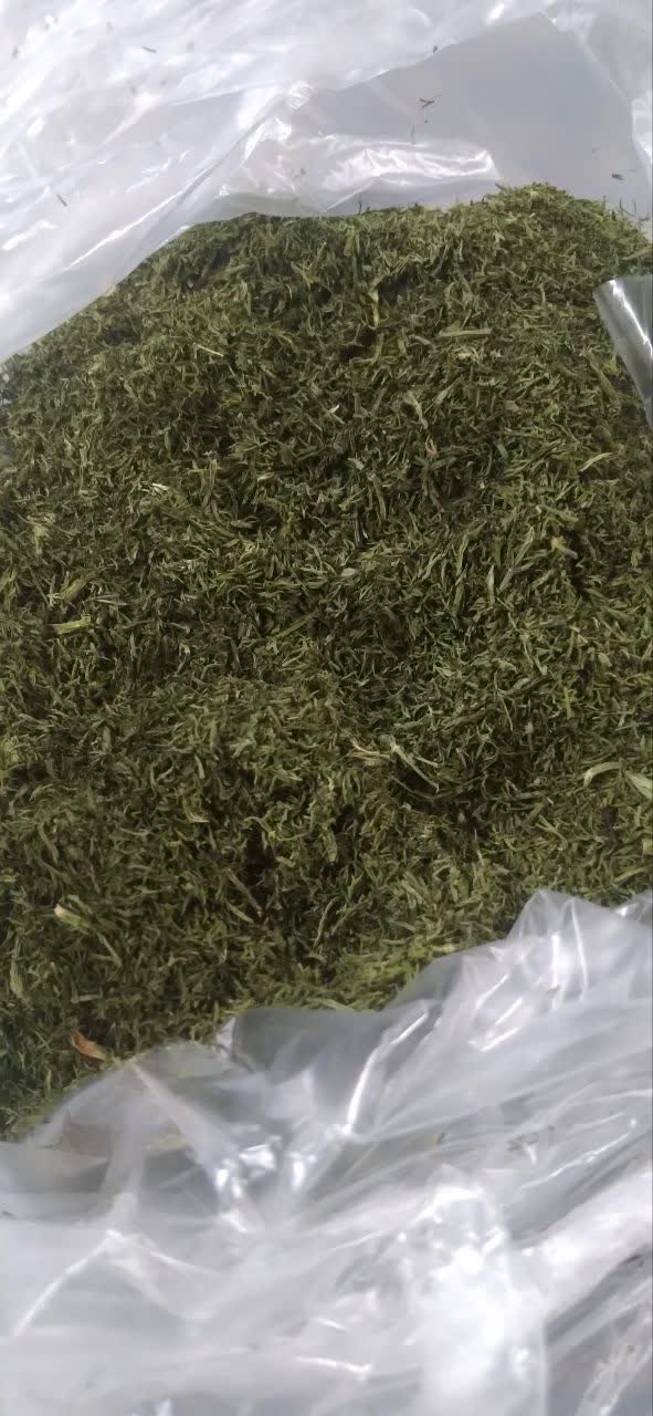 تصویر 4 از عرضه ویژه شوید خشک پفکی + قیمت نهایی