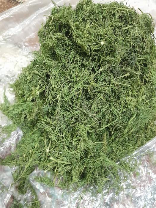 تصویر 2 از عرضه ویژه شوید خشک پفکی + قیمت نهایی
